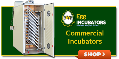 Industrial/Commercial Egg Incubators