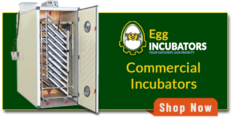 Industrial/Commercial Egg Incubators