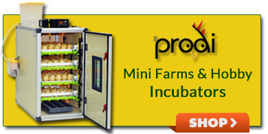 Farm/Mini Farm & Hobby Incubators