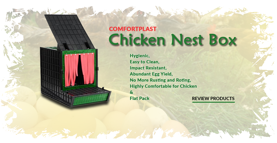 Chicken Nest Box