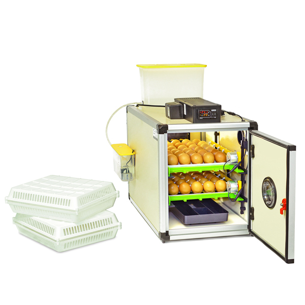 Egg Incubator - Setter / Hatcher - CT60 SH