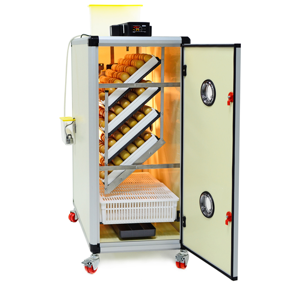 Combined Egg Incubator HB350 C