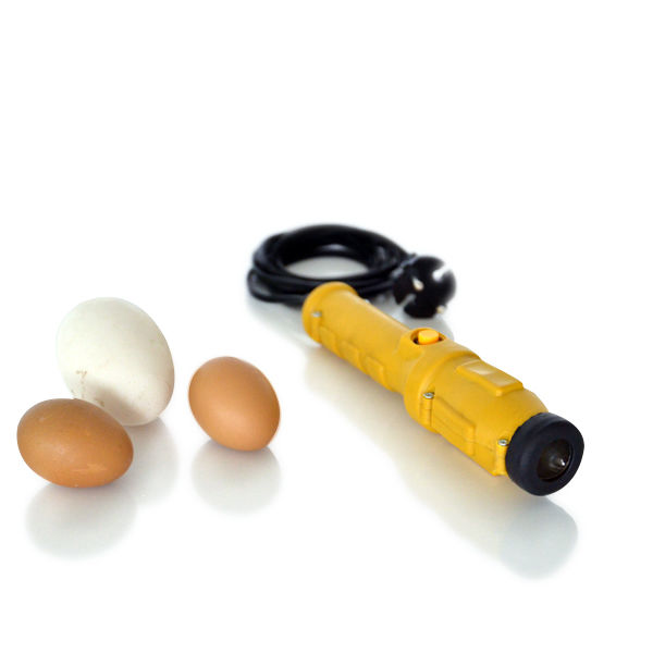 Egg Control Light (Egg Candler)