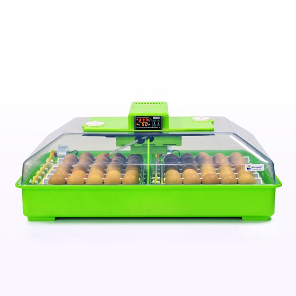 Egg Incubator PD60 SH