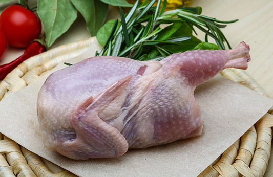 Japanese quail meet Japanese quail meet