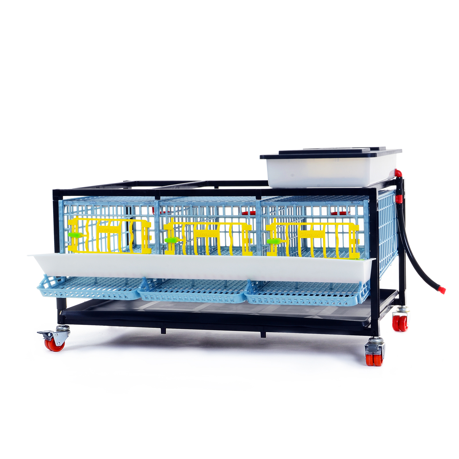 Quail Cage for Egg - 3 Section / 1 Tier