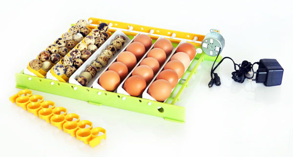 Quail Layer Mini for 10-12 Quail