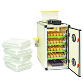 CT120 SH - Egg Incubator - Setter / Hatcher