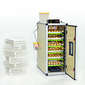 CT180 SH - Egg Incubator - Setter / Hatcher