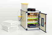 CT60 SH - Egg Incubator - Setter / Hatcher