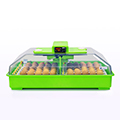 Egg Incubator PD60 SH