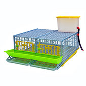 Quail Midi Cage for Egg  - 2 Section